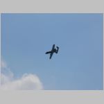 Flugtag _Lehrte_2010_066.jpg